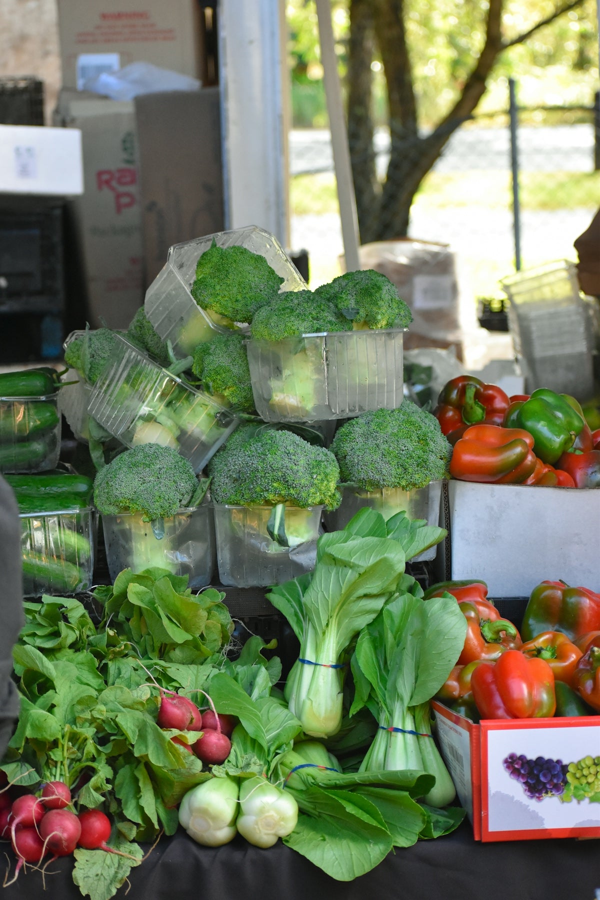 A table topped with lots of fresh vegetables