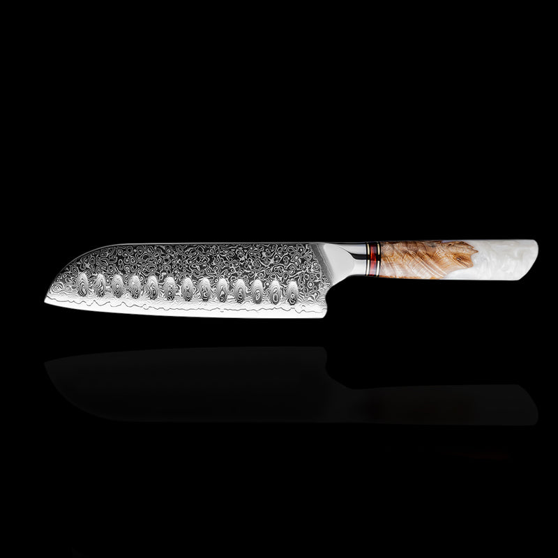 SAntoku Damastmesser Resin