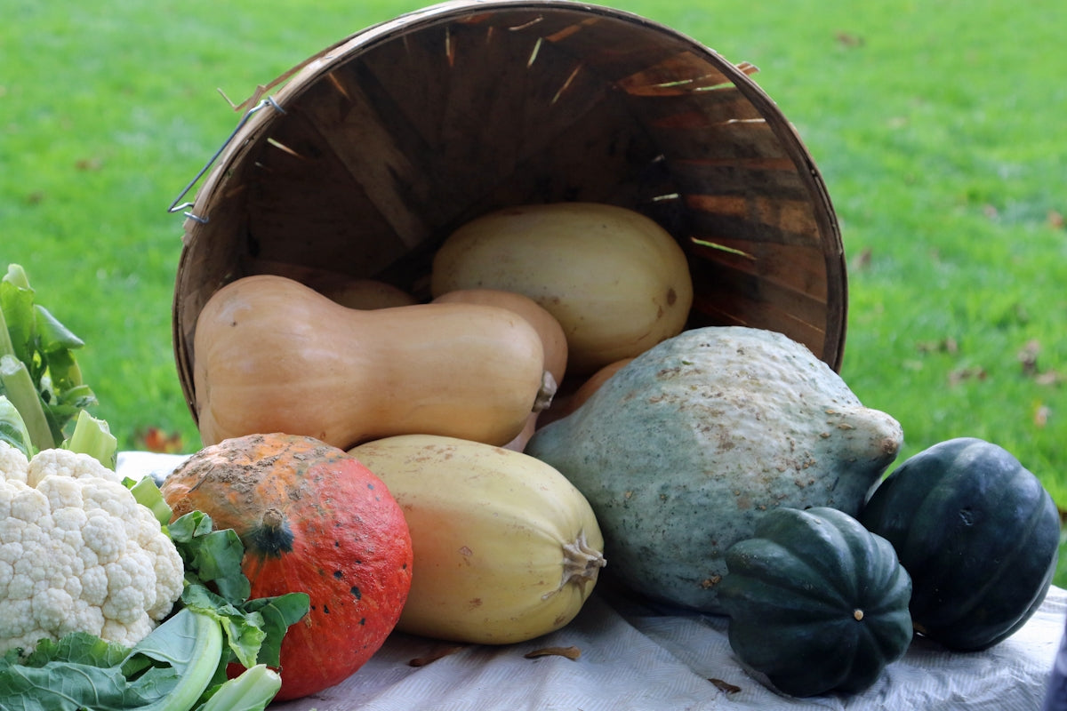 a bunch of different types of vegetables in a bucket